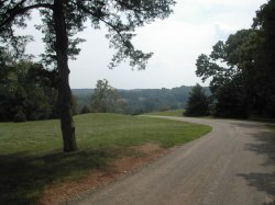 Virginia Trip IV 016