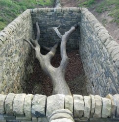 Andy Goldsworthy 2