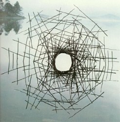 Andy Goldsworthy 4